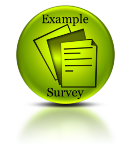 Example Survey
