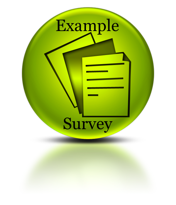 Example Survey