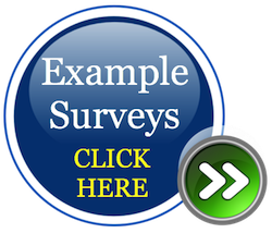 example surveys